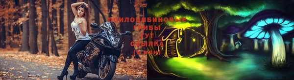 таблы Няндома
