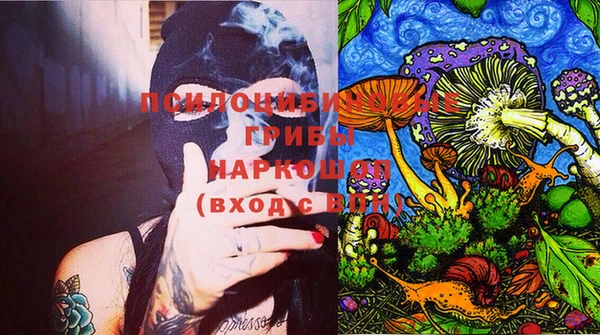 МДПВ Нязепетровск