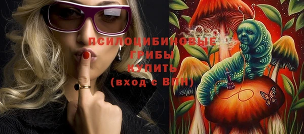 МДПВ Нязепетровск