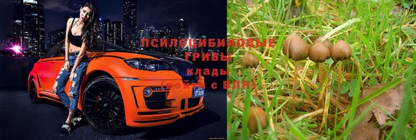таблы Няндома