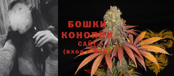 таблы Няндома