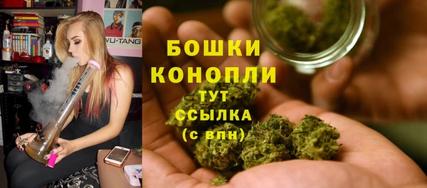 МДПВ Нягань